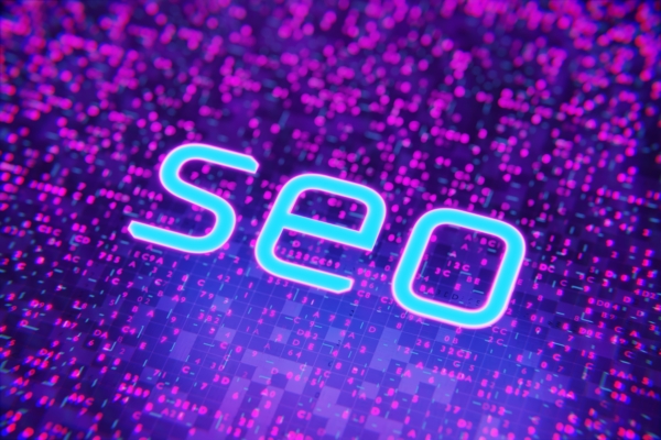 SEO: il case history domus green